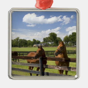 Pferdefarm in Marion Landkreis, Silbernes Ornament