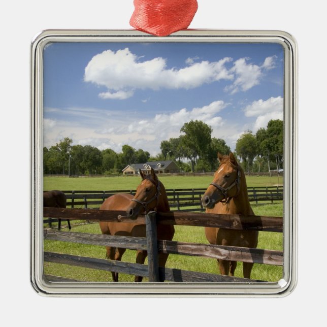 Pferdefarm in Marion Landkreis, Silbernes Ornament (Vorne)