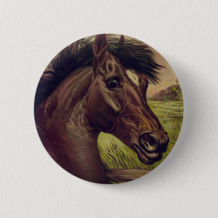 Pferdefarm Ranch Reitsport Western Pferdesport Hau Button