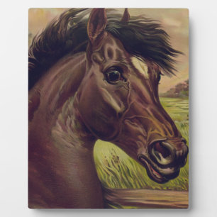 Pferdefarm Ranch Reitsport Western Pferdesport Hau Fotoplatte