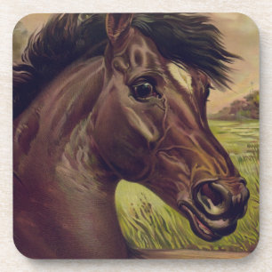 Pferdefarm Ranch Reitsport Western Pferdesport Hau Getränkeuntersetzer