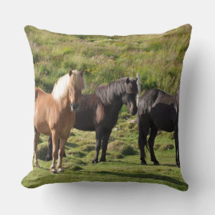 Pferdefarm Ranch Reitsport Western Pferdesport Hau Kissen