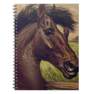 Pferdefarm Ranch Reitsport Western Pferdesport Hau Notizblock