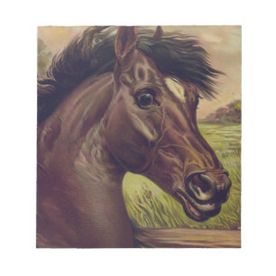 Pferdefarm Ranch Reitsport Western Pferdesport Hau Notizblock