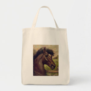 Pferdefarm Ranch Reitsport Western Pferdesport Hau Tragetasche