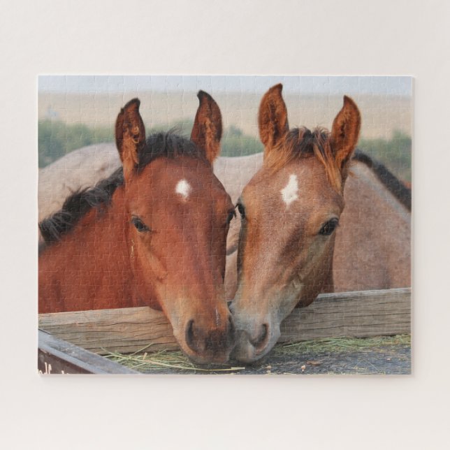 Pferdefoals (Horizontal)