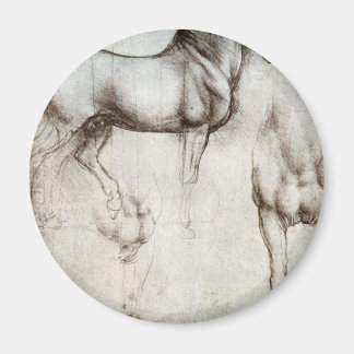 Pferdeforschung - Leonardo da Vinci Magnet