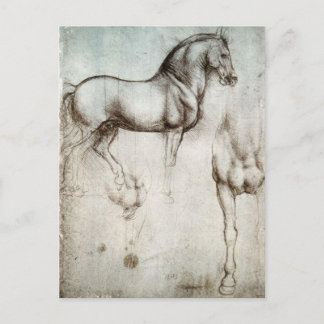 Pferdeforschung - Leonardo da Vinci Postkarte