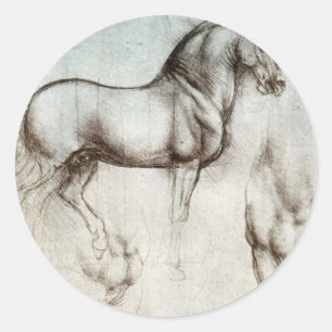 Pferdeforschung - Leonardo da Vinci Runder Aufkleber