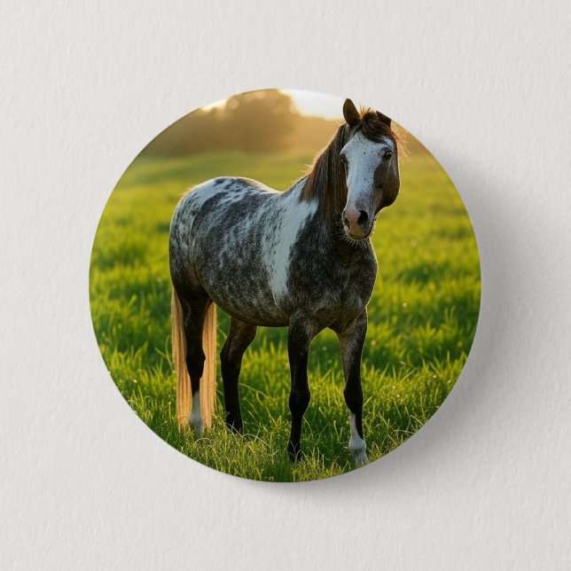 Pferdefoto anpassen button (Vorderseite)
