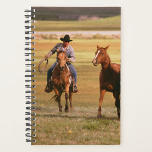 Pferdefoto Equine Cowboy Herdenhaltung Ranch Planer