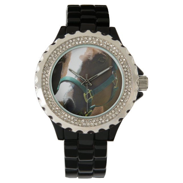 Pferdefoto über Frauen ansehen Armbanduhr (Vorderseite)