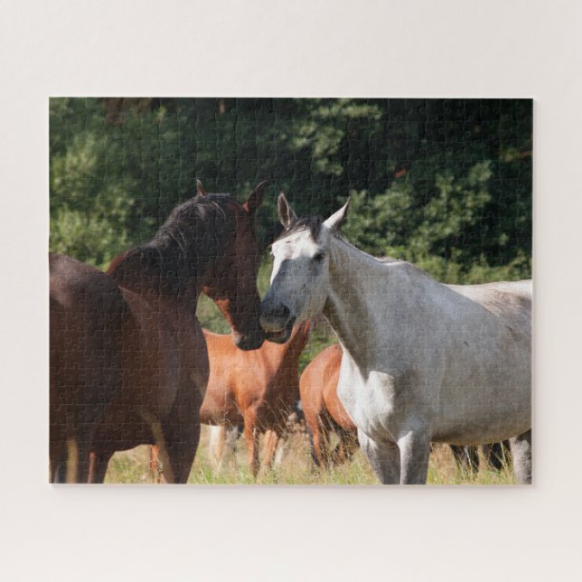 Pferdefreunde (Horizontal)