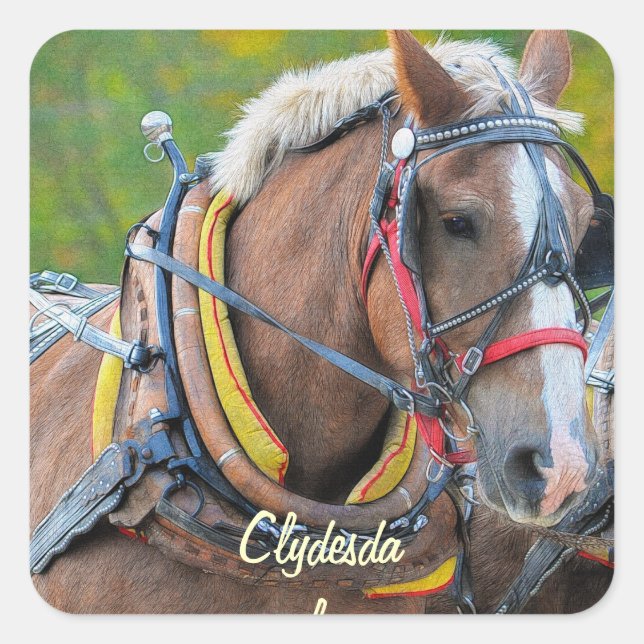 Pferdefreunde Pferdedesign Quadratischer Aufkleber (Vorderseite)