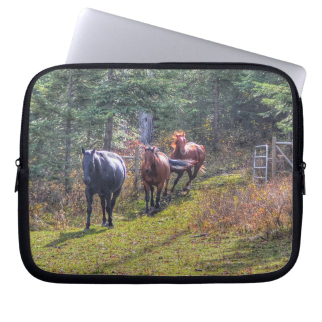 Pferdefreunde Reitsportler Foto Laptopschutzhülle (Vorderseite)