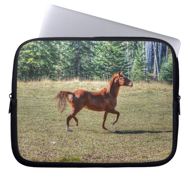 Pferdefreunde Reitsportler Foto Laptopschutzhülle (Vorderseite)