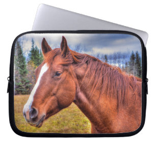 Pferdefreunde Reitsportler Foto Laptopschutzhülle