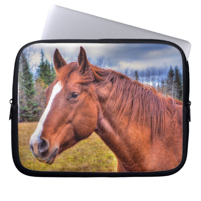Pferdefreunde Reitsportler Foto Laptopschutzhülle (Vorderseite)