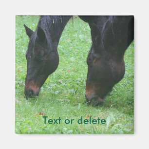Pferdefreunde Weidetier Personalisiert Magnet