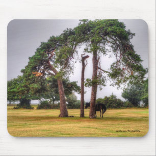 Pferdefreund's schönes Pferdedesign Mousepad