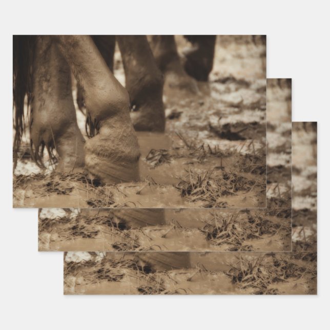 Pferdefüße Western Vintag Sepia Brown Rustikal Geschenkpapier Set (Set)