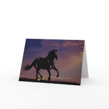 Pferdegalopp frei