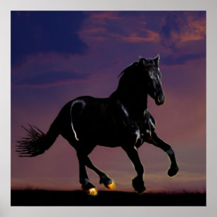 Pferdegalopp frei poster