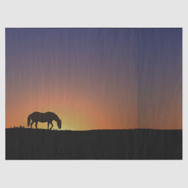 Pferdegewebe Seidenpapier (Vorderseite)