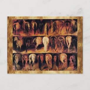 Pferdehaeuser Postkarte