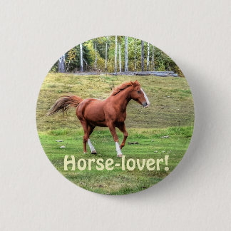 Pferdehahn-Foto auf einer BC Ranch Button