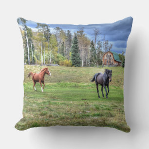 Pferdehahn-Foto auf einer BC Ranch Kissen