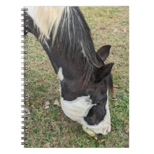 Pferdeheft Notizblock