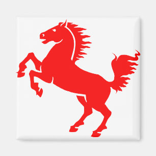 Pferdehengst Pferdemane Reittiere Magnet