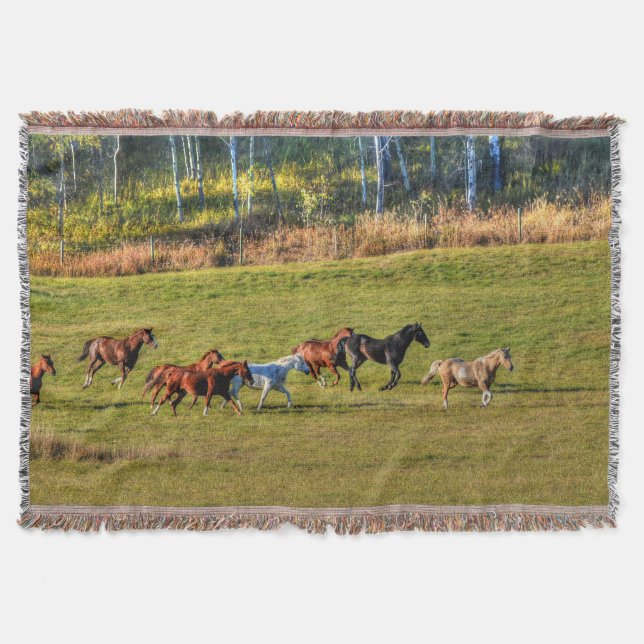 Pferdeherde auf einem BC Ranch-Foto 4 Decke (Vorderseite)