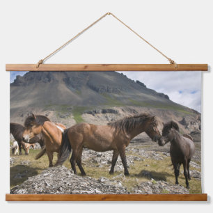 Pferdeherde bei Höfn, Island Wandteppich Mit Holzrahmen