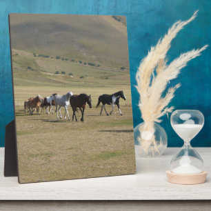 Pferdeherde Fotoplatte