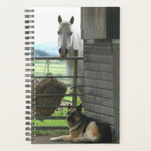 Pferdehund Foto Planer