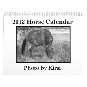 Pferdekalender 2012 kalender