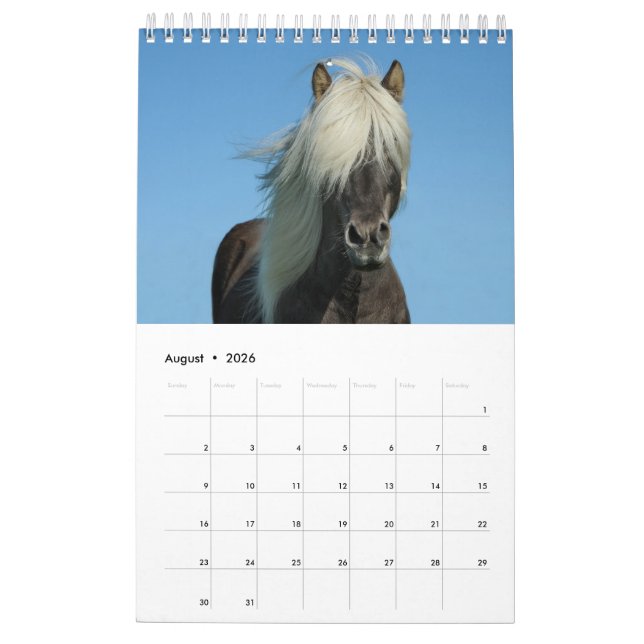 Pferdekalender 2017 kalender (Aug 2026)