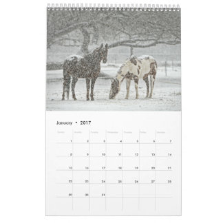 Pferdekalender 2017 kalender