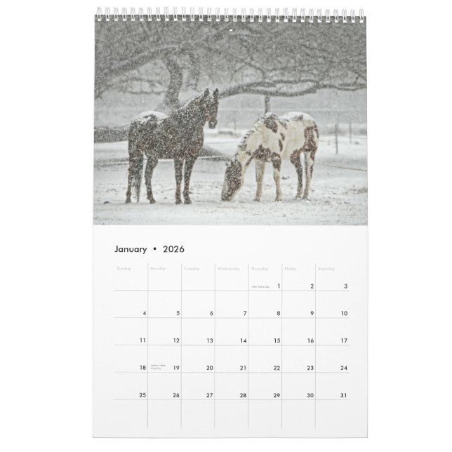 Pferdekalender 2017 kalender (Jan 2026)