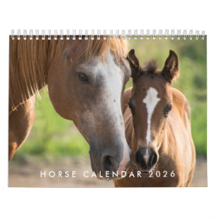 Pferdekalender 2026 mit Fotos Kalender