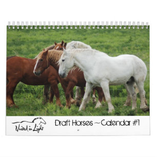 Pferdekalender des Entwurfs-#1 Kalender