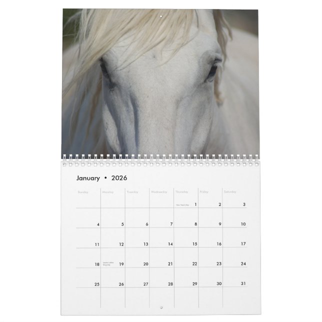 Pferdekalender des Entwurfs-#1 Kalender (Jan 2026)