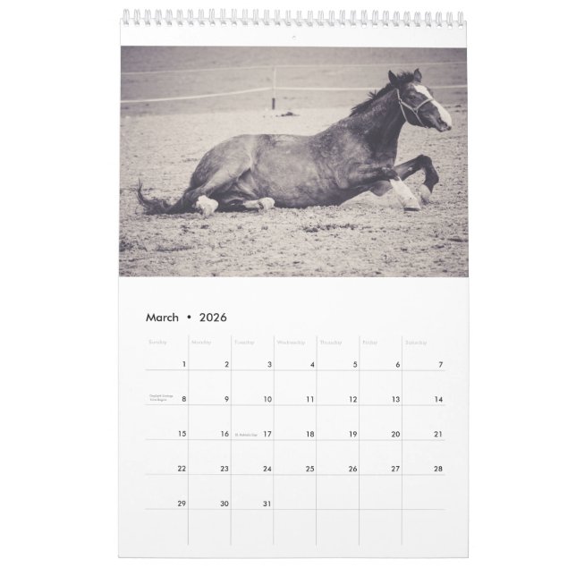 Pferdekalender... Kalender (Mär 2026)