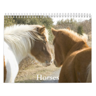 Pferdekalender Kalender