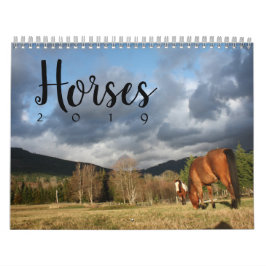Pferdekalender Kalender