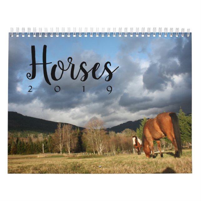 Pferdekalender Kalender (Titelbild)
