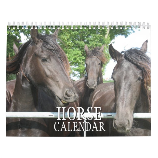 Pferdekalender Kalender (Titelbild)