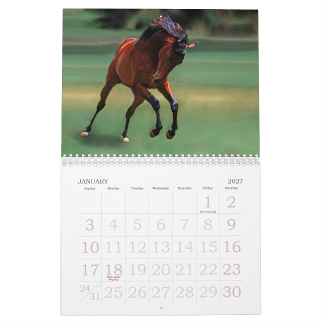Pferdekalender Kalender (Jan 2027)